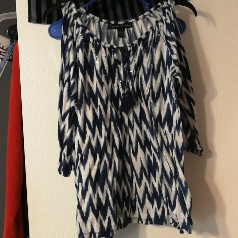 Blue and White Women's Blouse